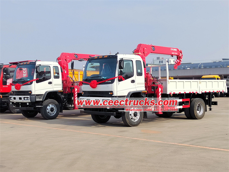 Confronto Isuzu Knuckle Boom Crane e Crane del boom telescopico